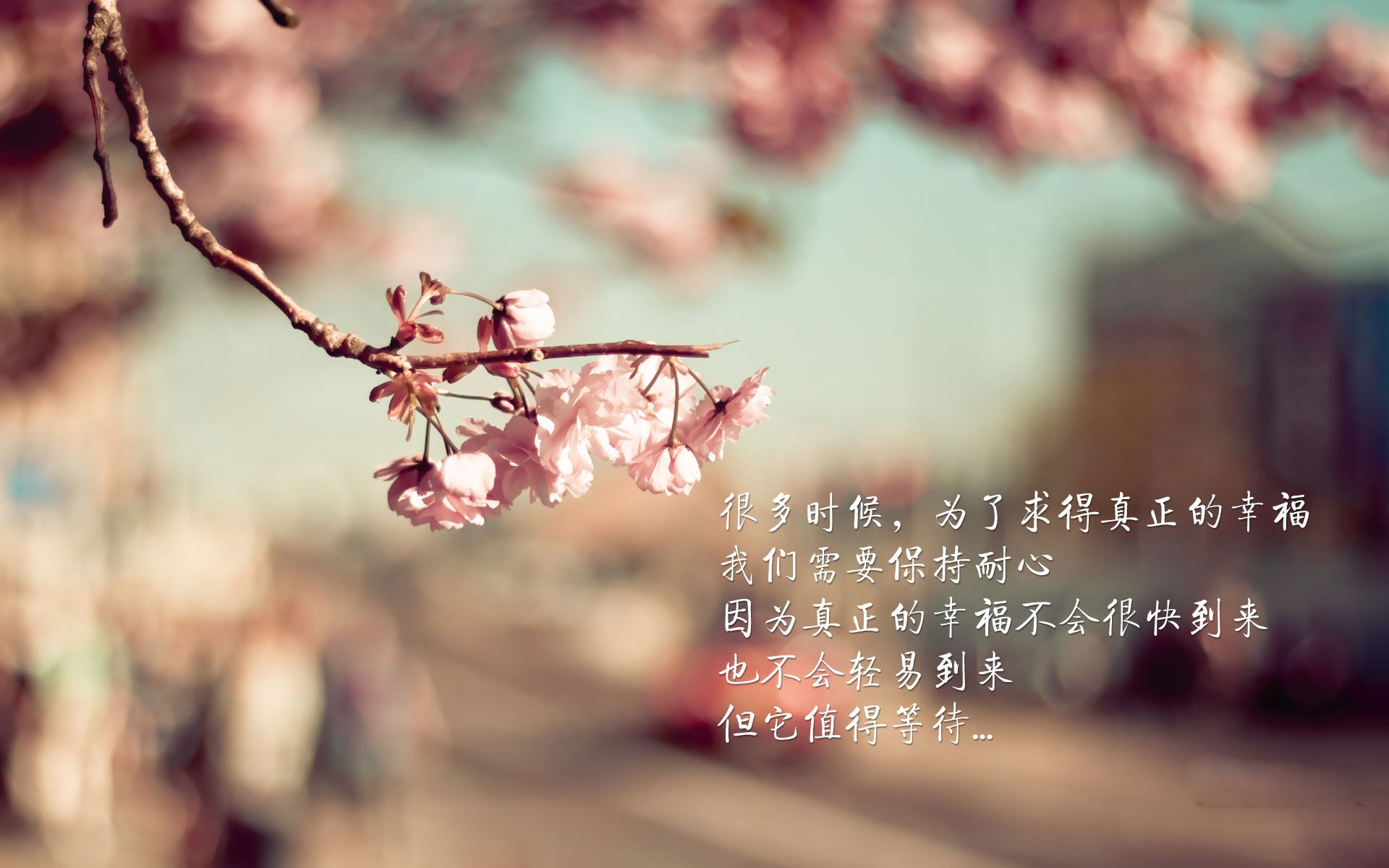 东契奇一条龙上篮点燃独行侠替补席，曝东契奇同意5年2.07亿续约独行侠