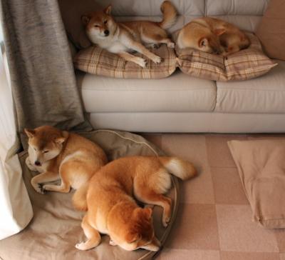 开云官网APP下载-中超联赛中国队战平 球员表现稳定，中超联赛的水平