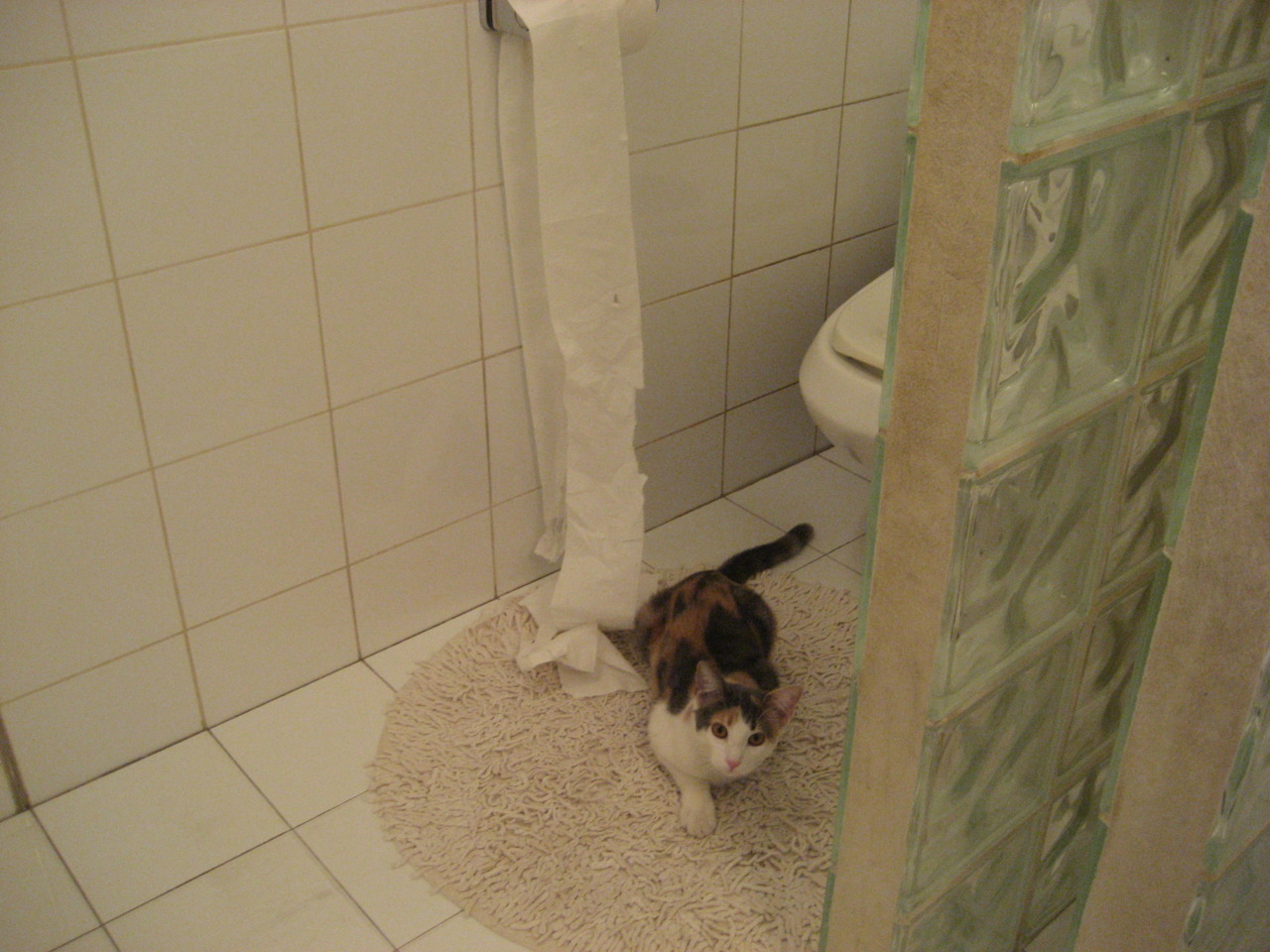 kaiyun中国官方网站-新加坡队赛制解析：如何在团体比赛中平衡技术与战术，新加坡联赛