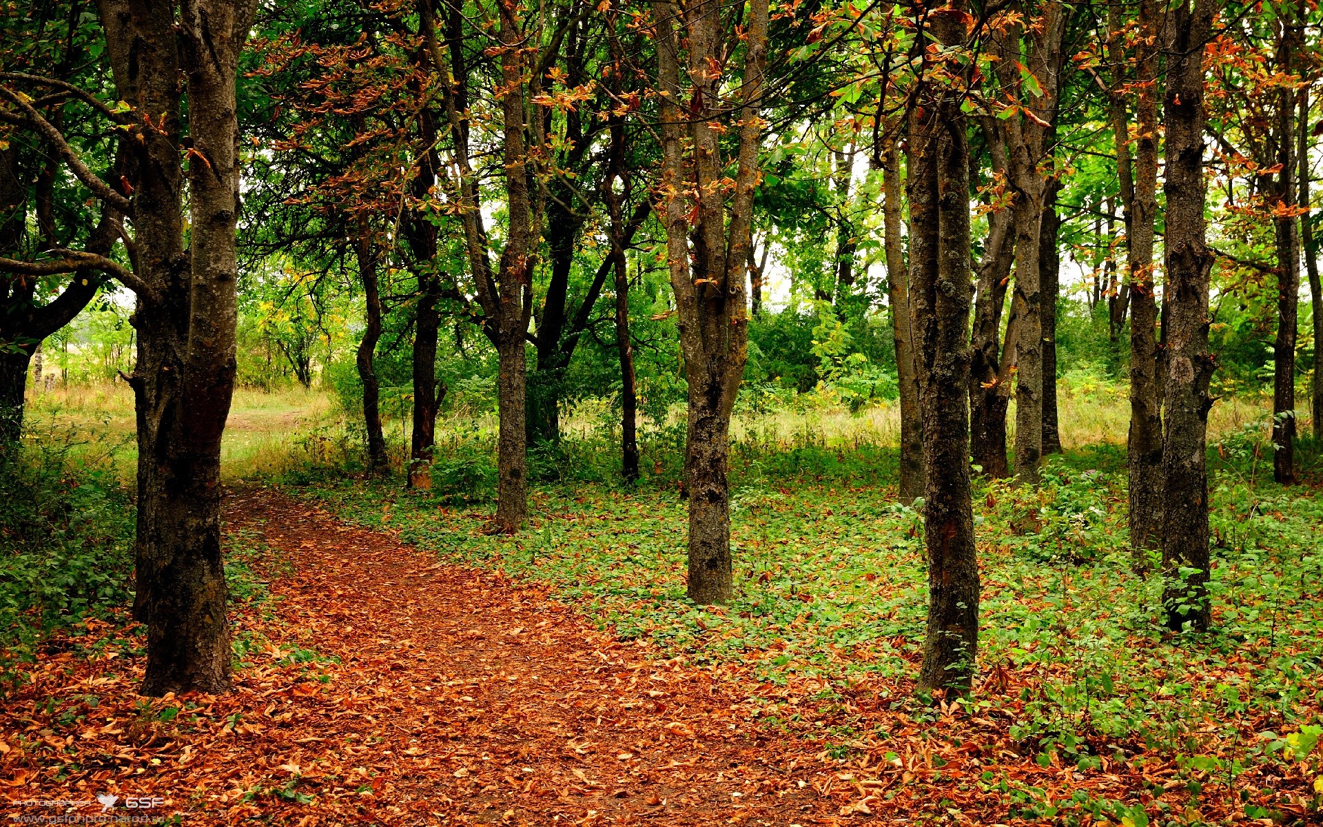 kering.com-杨瀚森加盟开拓者后首场采访谈梦想与压力，杨瀚宇是谁