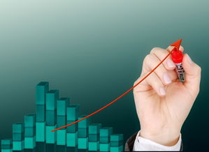 开云官网登录-体育公益项目影响力持续扩大，体育公益组织