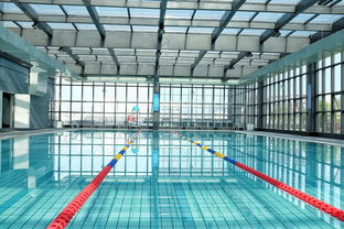 开云kaiyun-世界游泳锦标赛中国运动员连续夺牌，世界游泳锦标赛中国运动员连续夺牌几次