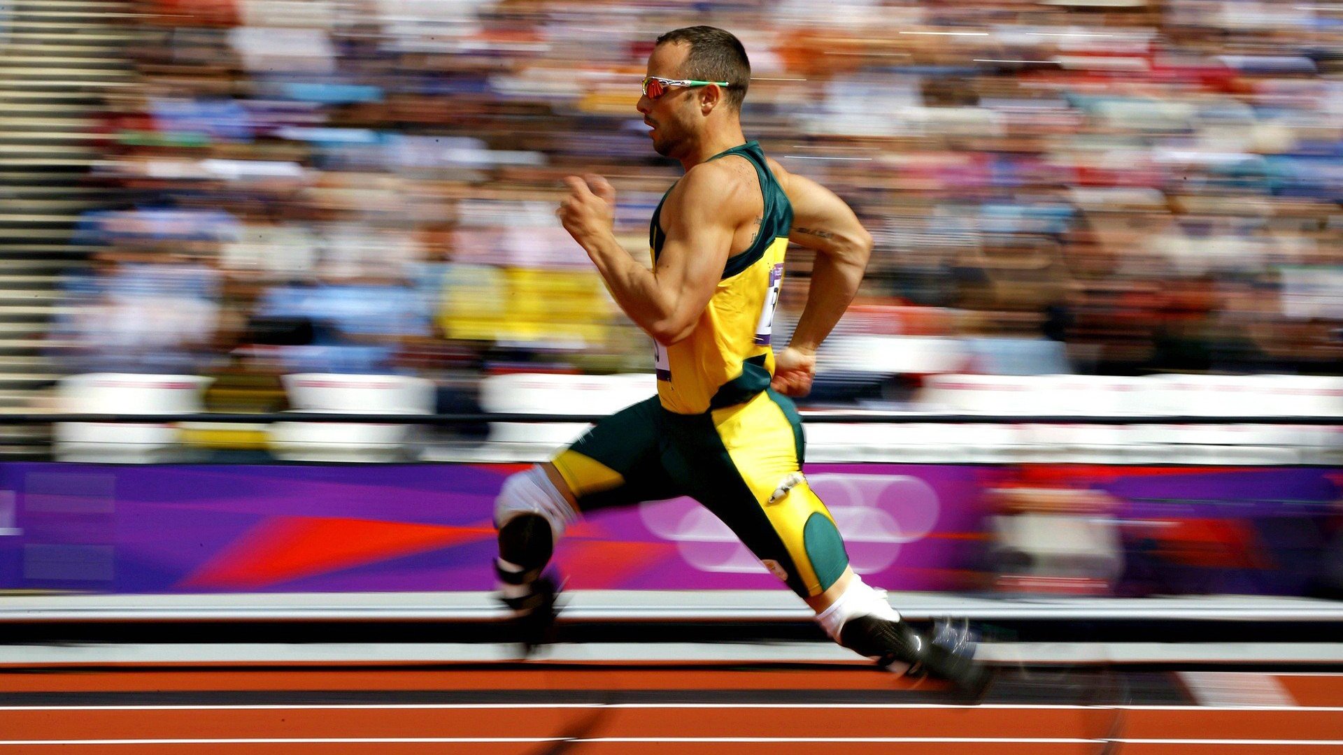 全球马拉松赛事持续升温，多地赛事报名人数创新高，马拉松参与人数